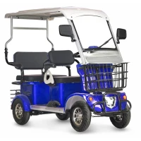 Электротрицикл Rutrike Gelbert Hara 48V/60V 600Вт Синий